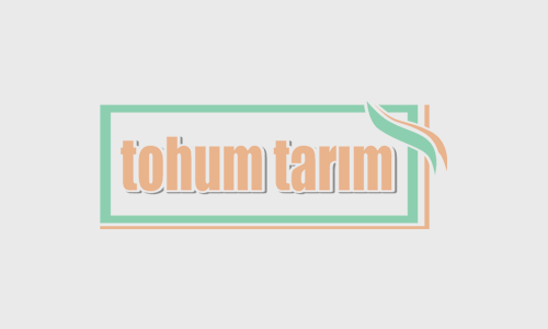 Aspir Tohumu